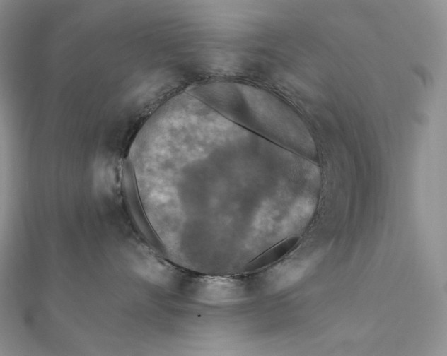 X0000112350528200909031852