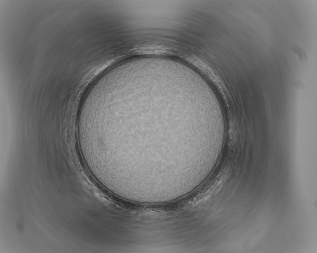 X0000112350529200909031851