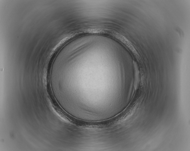 X0000112350530200909031851