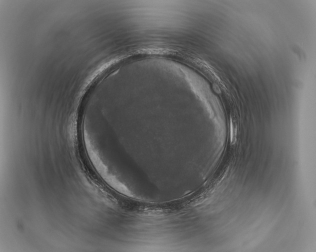 X0000112350531200909031851