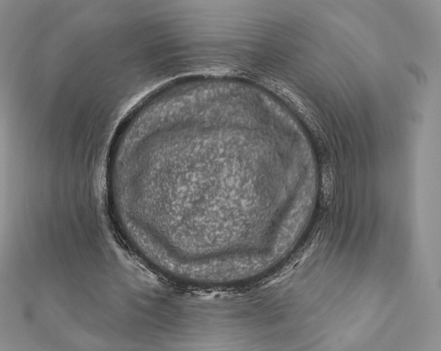 X0000112350532200909031851