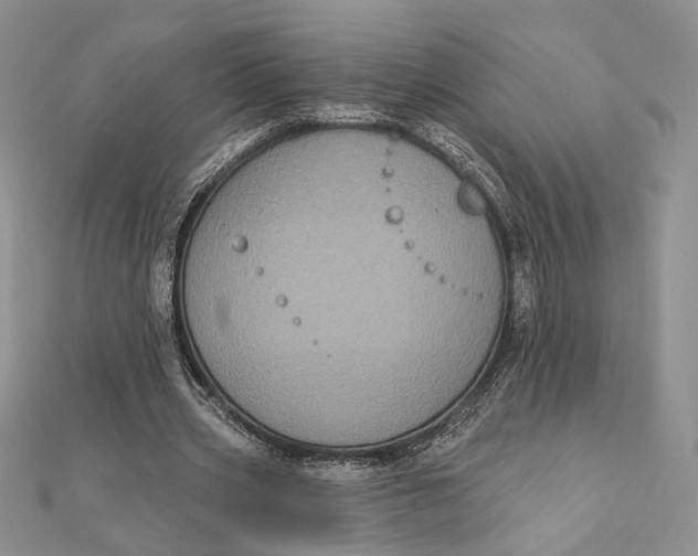 X0000112350533200909031851