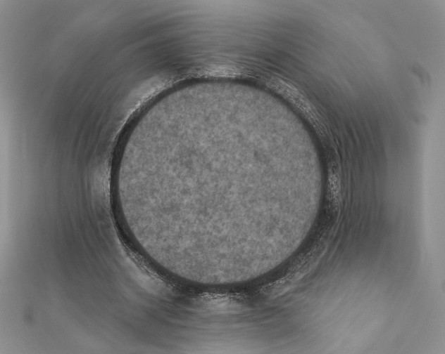 X0000112350534200909031851