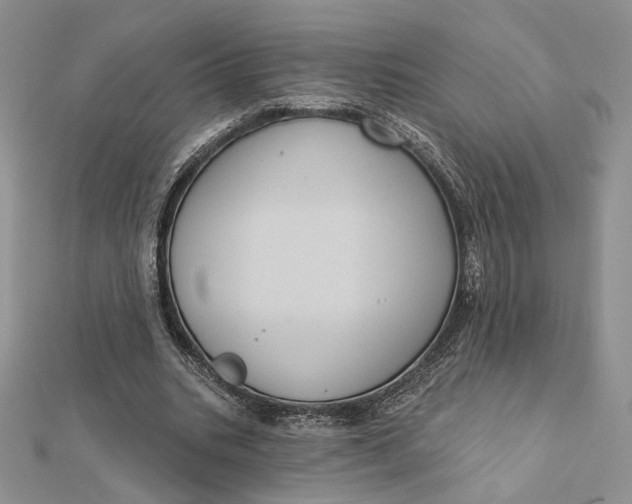 X0000112350535200909031851