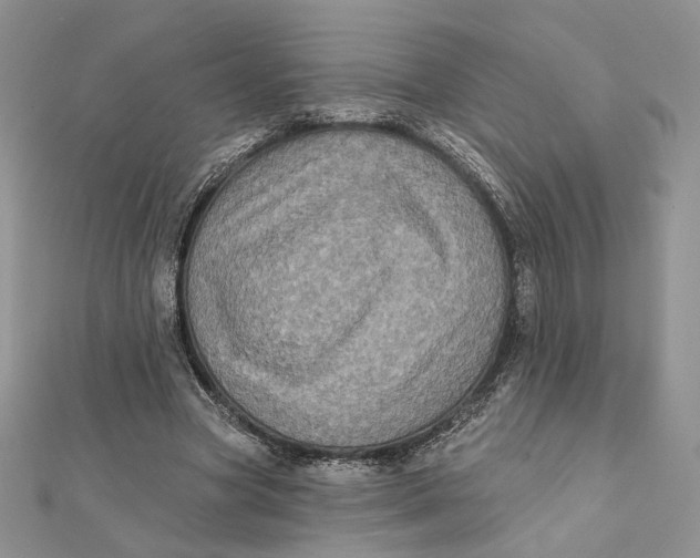 X0000112350537200909031851