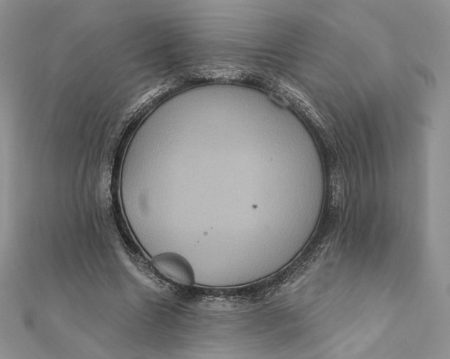 X0000112350538200909031851