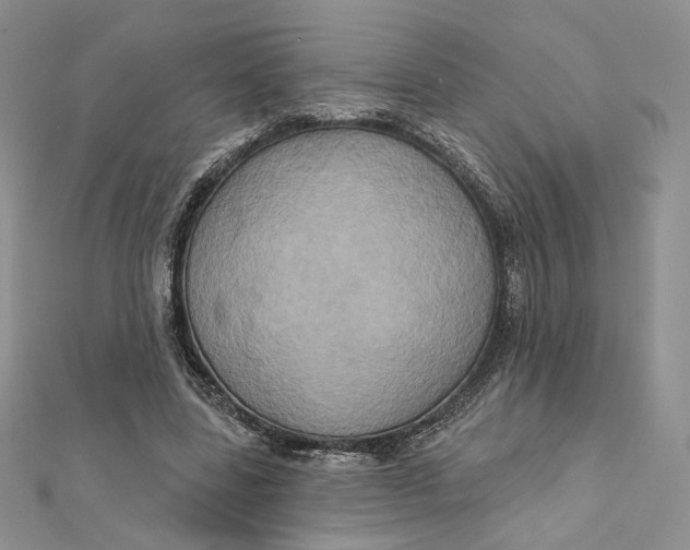 X0000112350539200909031851