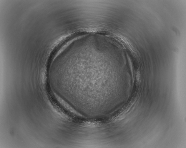 X0000112350540200909031851