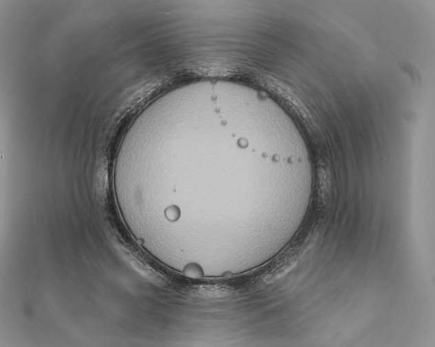 X0000112350541200909031851