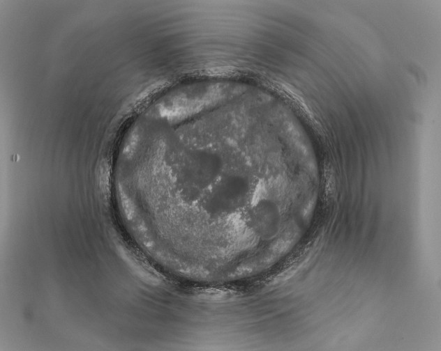 X0000112350542200909031851