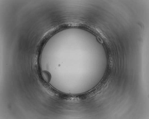 X0000112350543200909031851