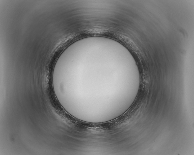 X0000112350544200909031851