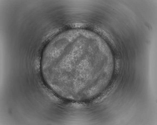 X0000112350545200909031851