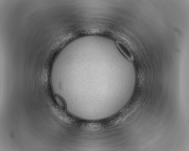 X0000112350546200909031851