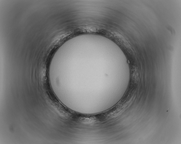 X0000112350548200909031851