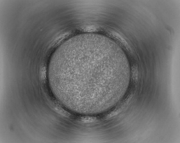 X0000112350549200909031851