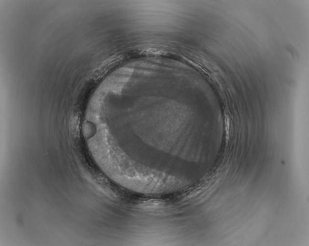 X0000112350551200909031851