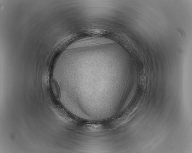 X0000112350552200909031851