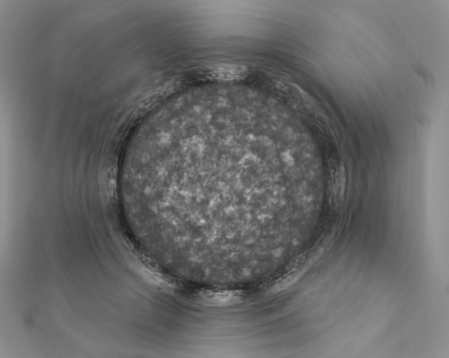 X0000112350553200909031851