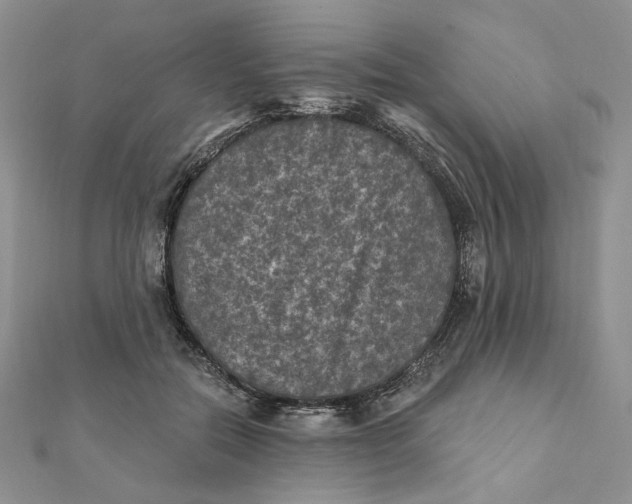 X0000112350554200909031851