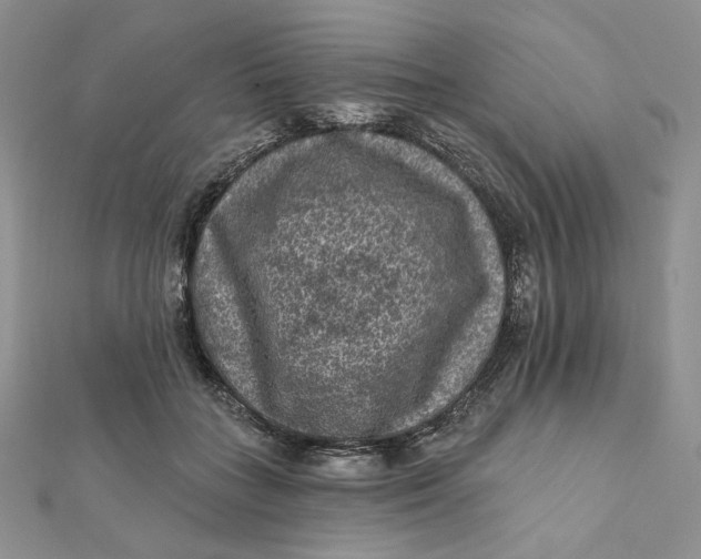 X0000112350555200909031851