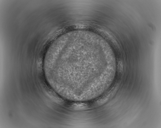 X0000112350557200909031851