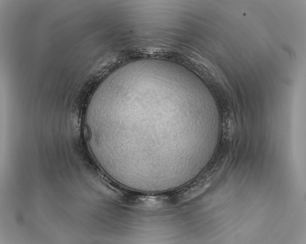 X0000112350558200909031851