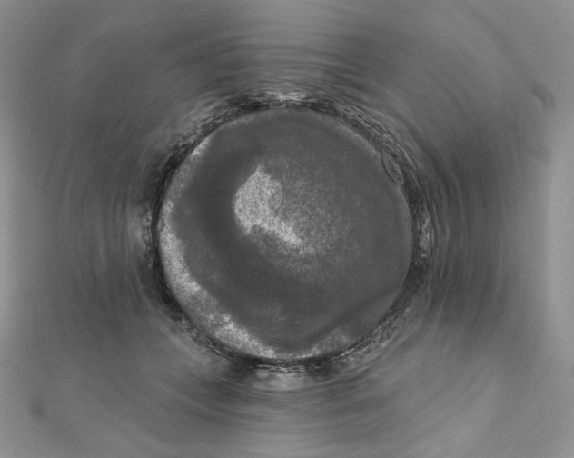 X0000112350559200909031851