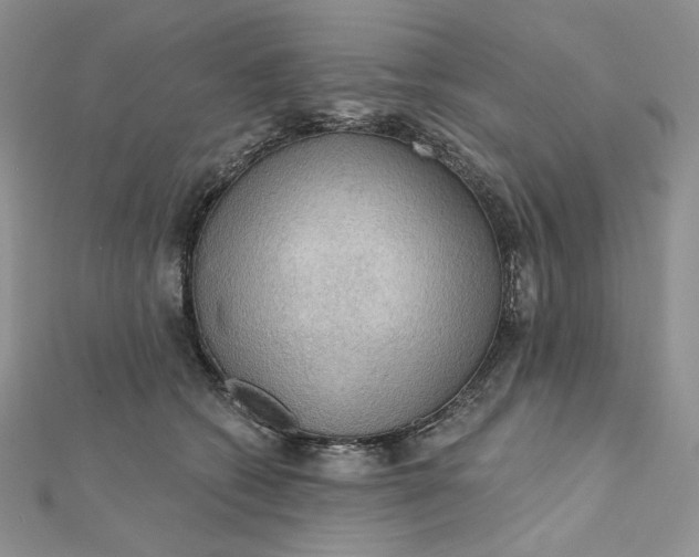 X0000112350562200909031851