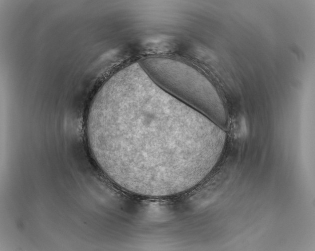 X0000112350564200909031851