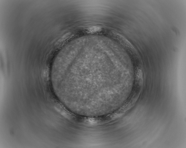 X0000112350565200909031851