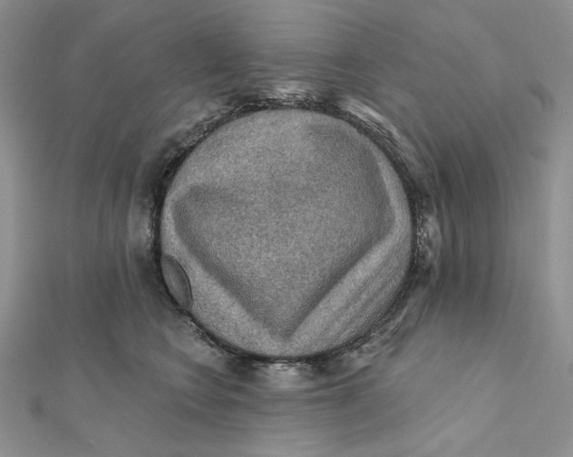 X0000112350566200909031851