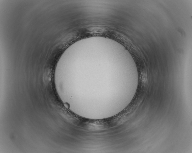 X0000112350567200909031851