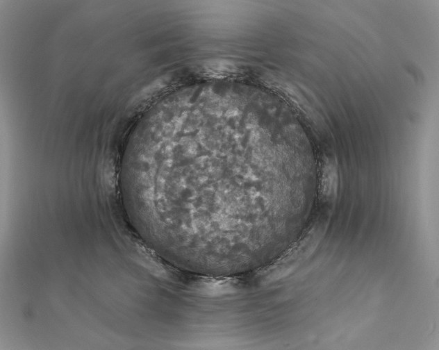 X0000112350569200909031851