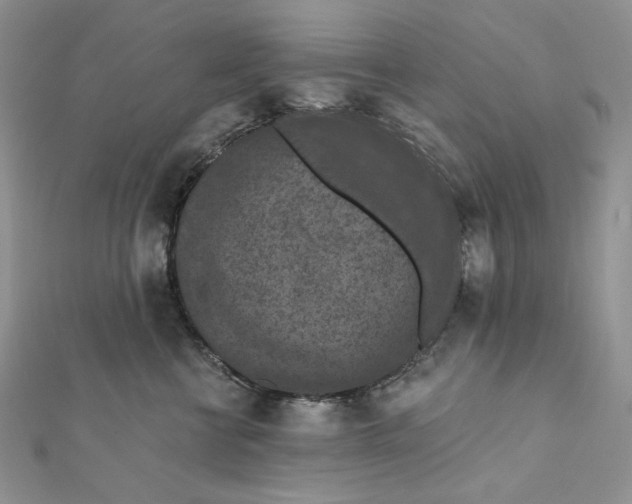 X0000112350570200909031851