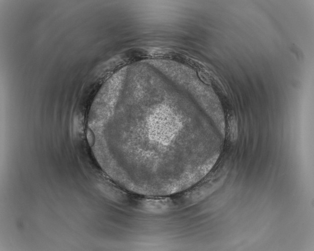 X0000112350571200909031851