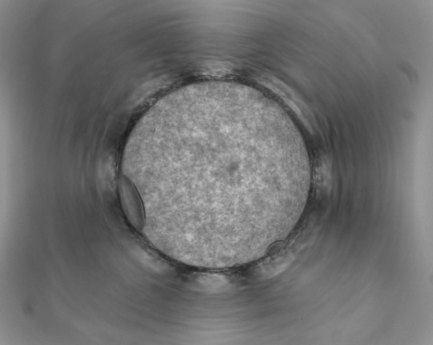 X0000112350572200909031851