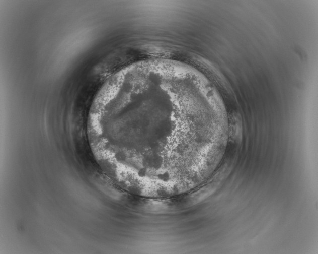 X0000112350573200909031851