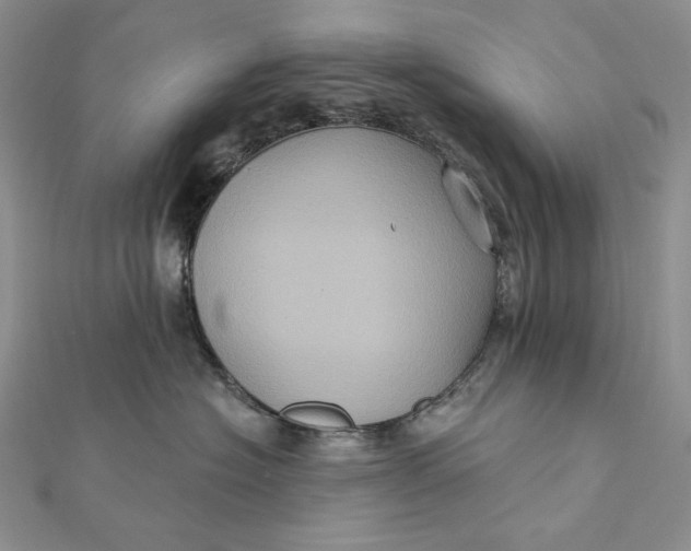 X0000112350574200909031851