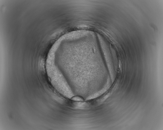 X0000112350575200909031851