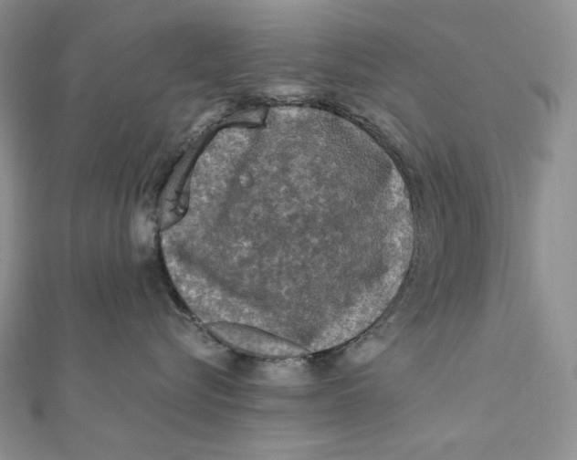 X0000112350576200909031852