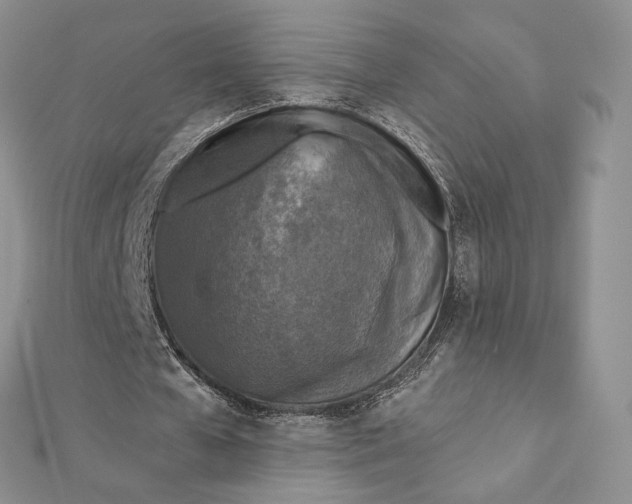 X0000112350577200909031851