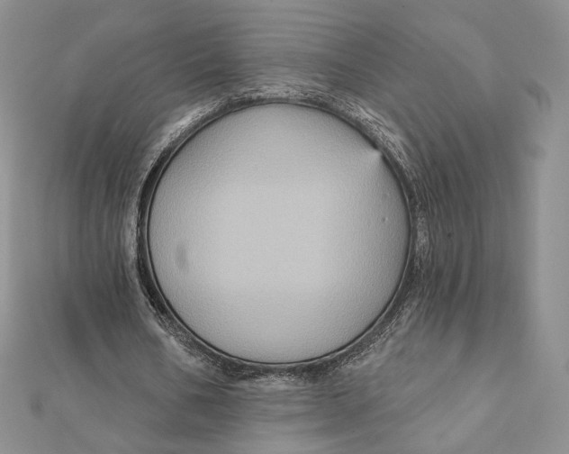 X0000112350578200909031851