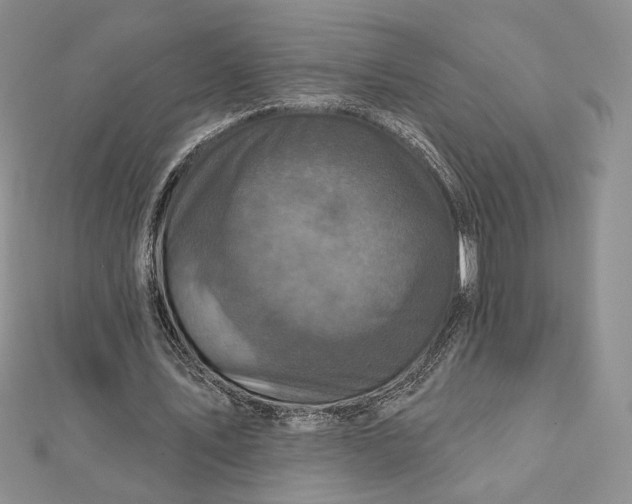 X0000112350579200909031851