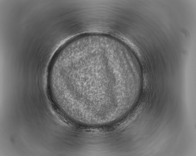 X0000112350580200909031851