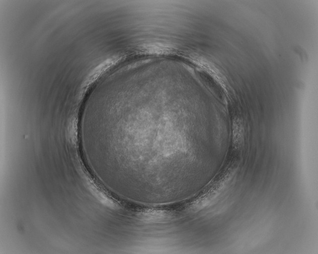 X0000112350581200909031851