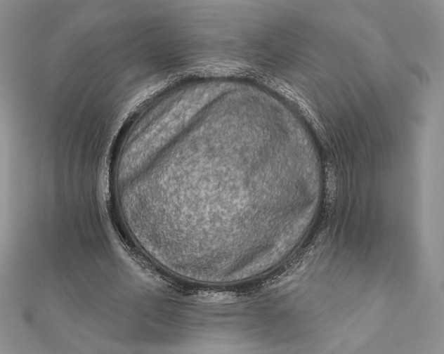 X0000112350582200909031851