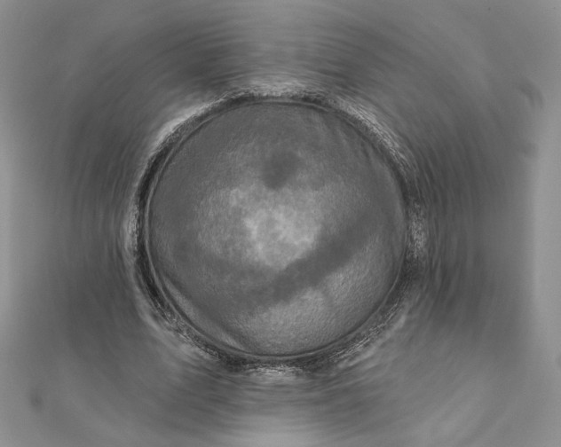 X0000112350583200909031851