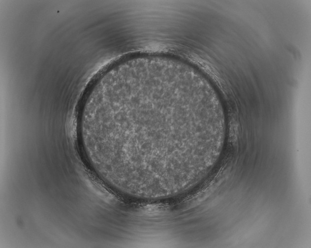 X0000112350584200909031851