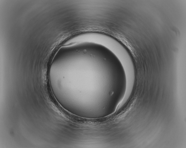 X0000112350585200909031851